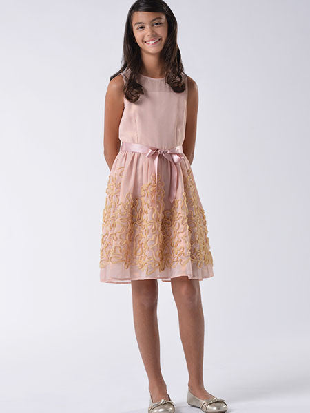 Blush pink chiffon dress embellished with gold metallic lace on skirt, pink satin ribbon belt at waist. Sleeveless. Blush by Us Angels girls party dress.