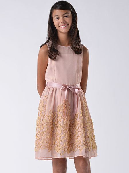 Blush pink chiffon dress embellished with gold metallic lace on skirt, pink satin ribbon belt at waist. Sleeveless. Blush by Us Angels girls party dress.