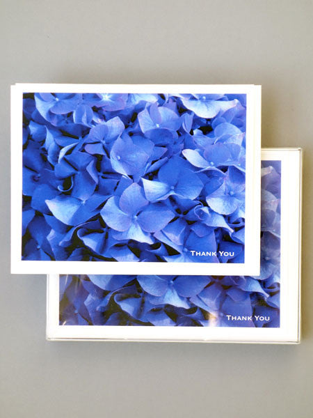 MZ & Drew Hydrangea Thank You Notecards Set of 8