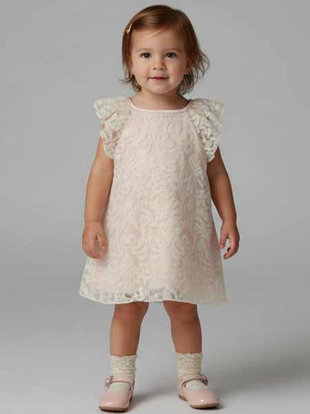 Young child wearing a lace dress on a plain background