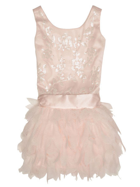 Biscotti Arabesque Pink Drop Waist Dress Size 5
