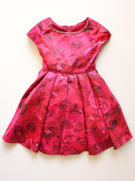 Biscotti Rose Rasphody Dress Baby Size 12M