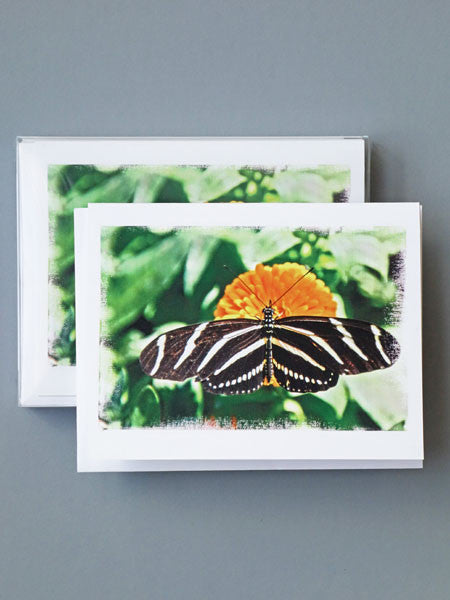 MZ & Drew Black Swallow Butterfly Blank Notecards | Boxed Set of 8